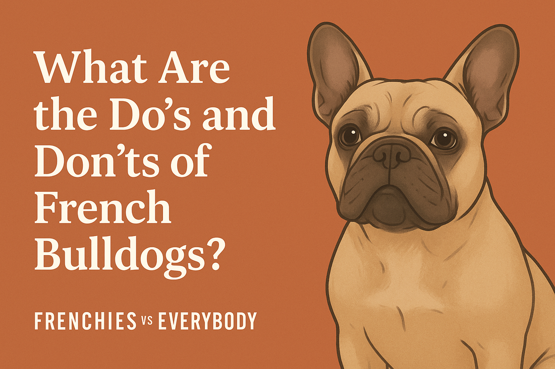 What are the do's and don'ts of French Bulldogs?