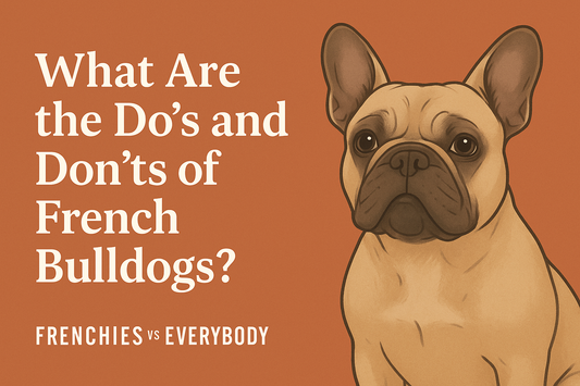 What are the do's and don'ts of French Bulldogs?