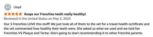 “Our Vet Asked Us How Our Frenchies’ Teeth Are So Clean!?” — Here’s What We Told Her