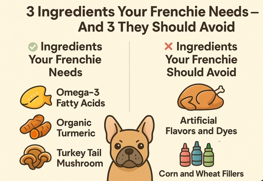 3 Ingredients Your Frenchie Needs – And 3 They Should Avoid
