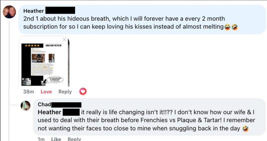 From “Hideous Breath” to Kissable Moments: How Frenchie Parents Are Freshening Things Up