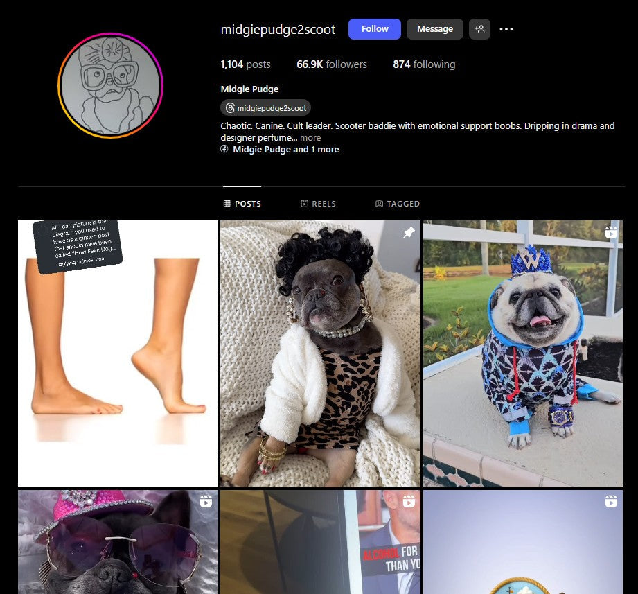 Spotlight on Midgie: The Frenchie Who Knows What She Wants