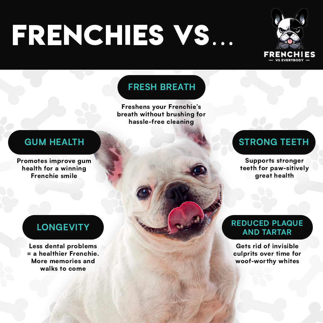 Frenchies vs Plaque & Tartar