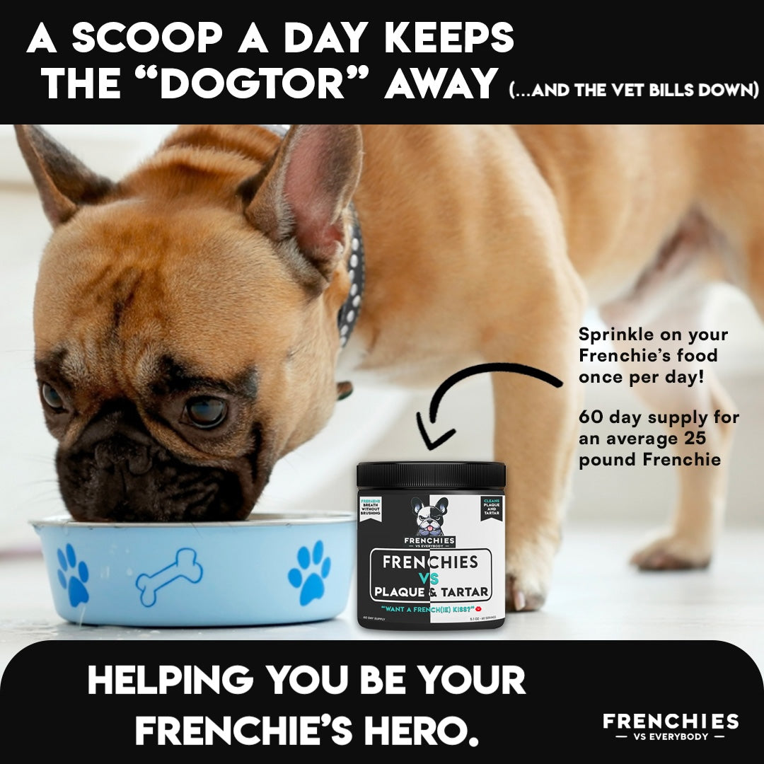 Frenchies vs Plaque & Tartar