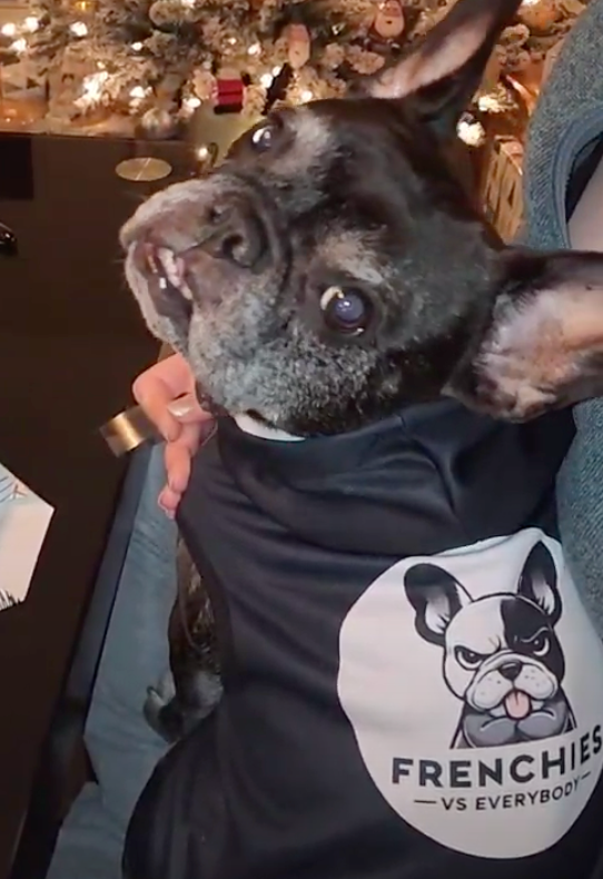 Frenchies vs Everybody dog hoodie!