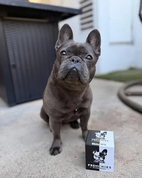 A brindle French Bulldog sitting beside a Frenchies vs Mushrooms box