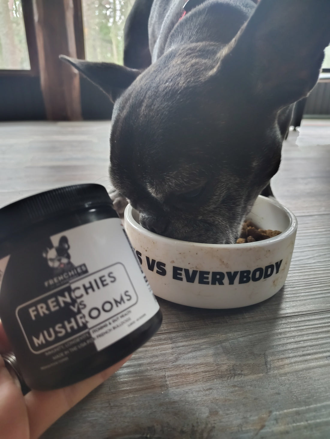 Beast’s First Bite: A Frenchie from Grand Rapids Dives Into the Mushroom Life