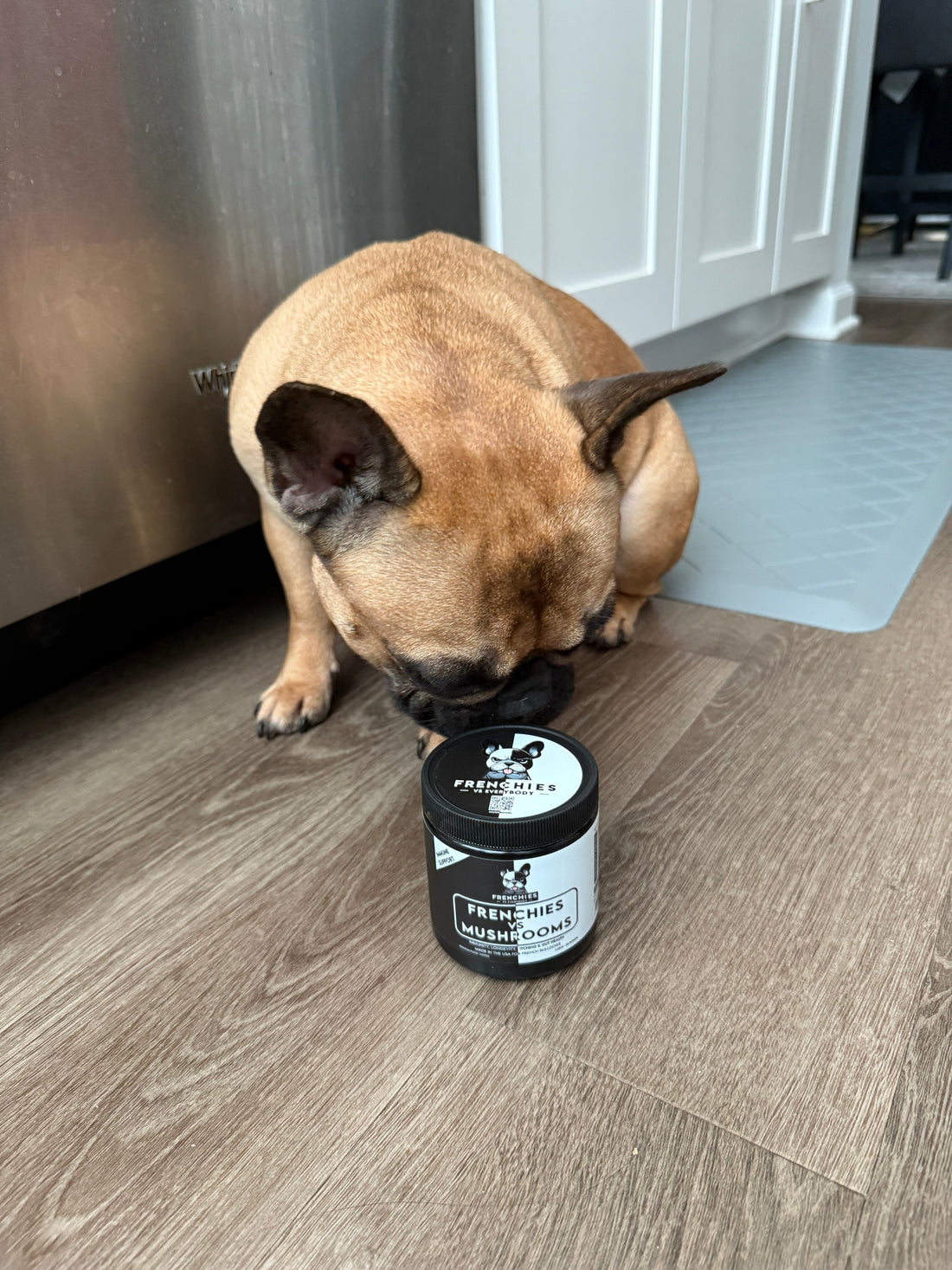 Meet Riley: A Frenchie Spotlight