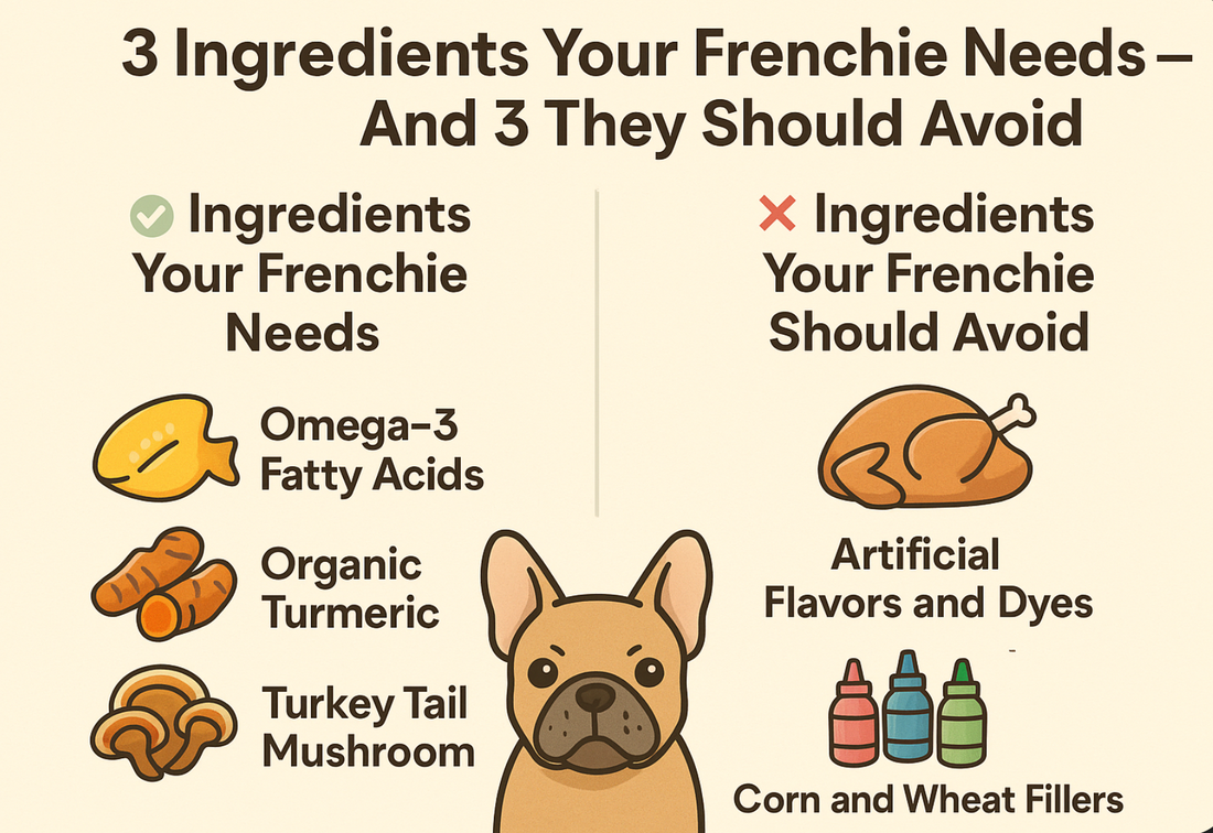 3 Ingredients Your Frenchie Needs – And 3 They Should Avoid