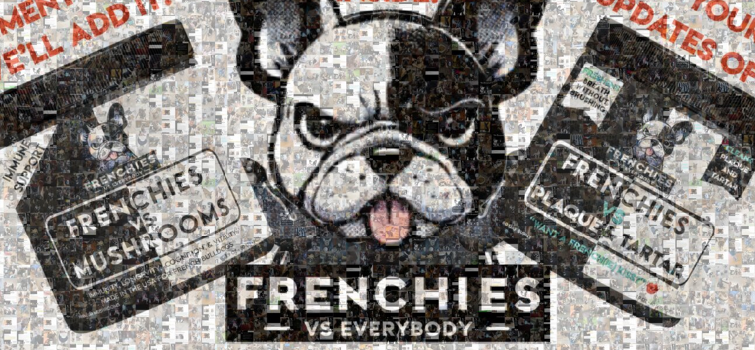 Snorts, Side-Eyes, and Big Tongue: A Frenchie Mosaic from Frenchies vs Everybody