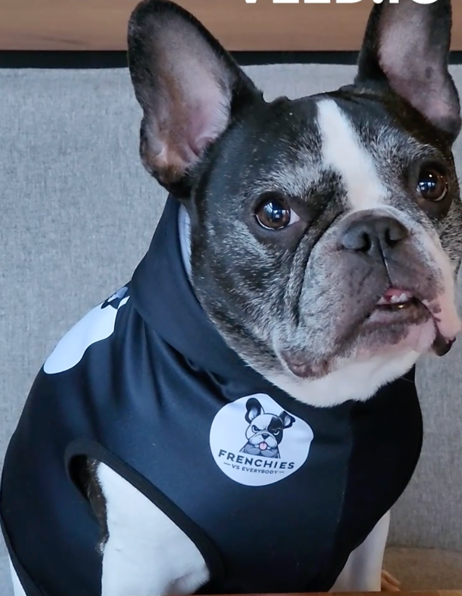 Frenchies vs Everybody dog hoodie!