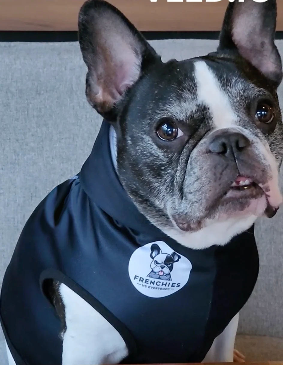 Cute, Crazy, Cuddly:  Frenchie Hoodie