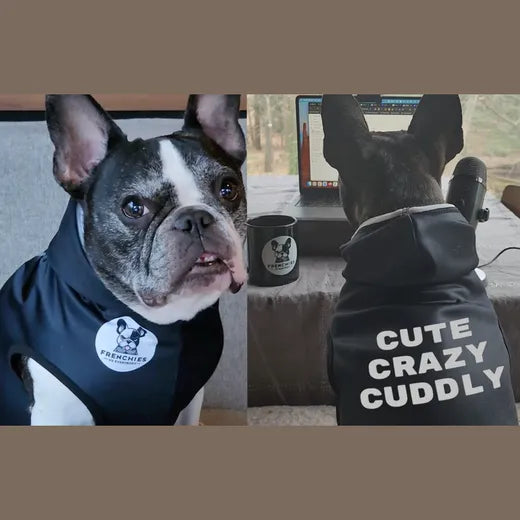Cute, Crazy, Cuddly Dog Hoodie