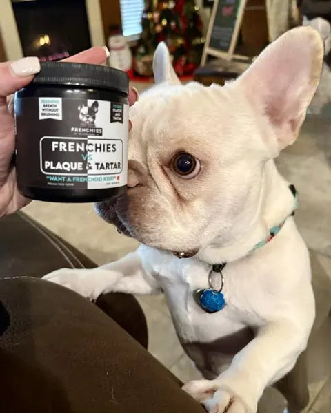 A cream French Bulldog next to a Frenchies vs Plaque & Tartar jar