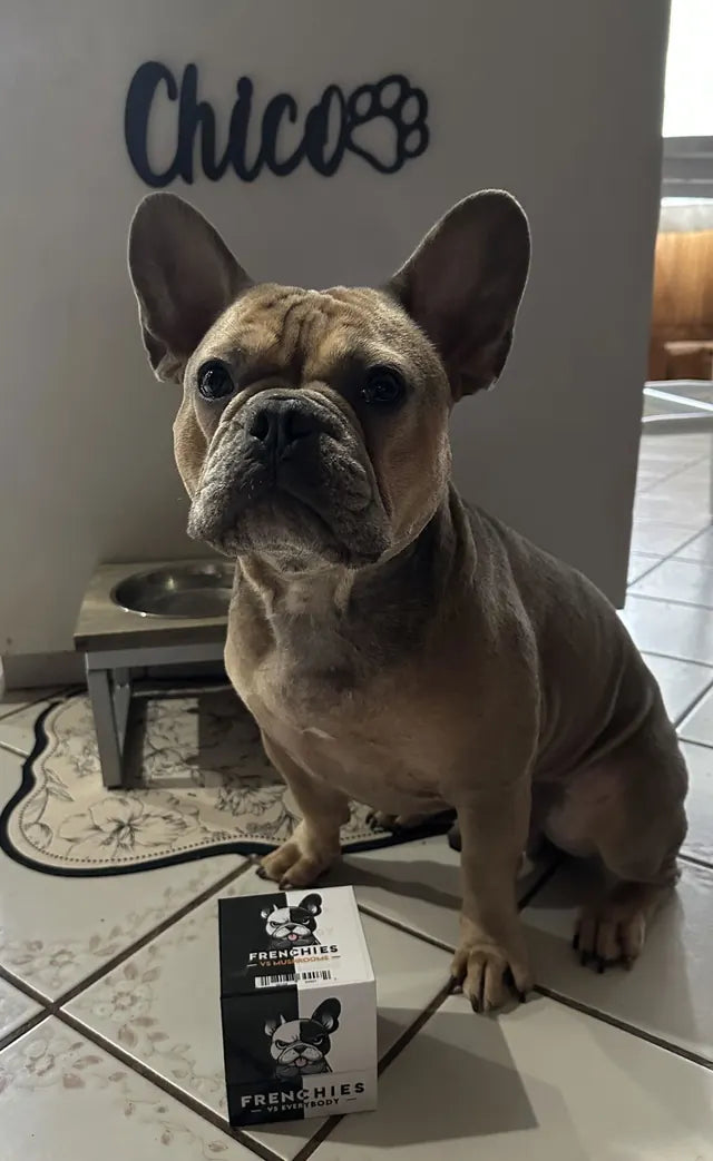 Chico, a fawn French Bulldog, sitting next to his Frenchies vs Mushrooms box